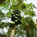 DSC01495