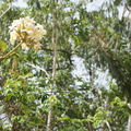 nature2014-3